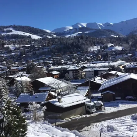 Reine Des Pres 1 Furnished Flat Apartment